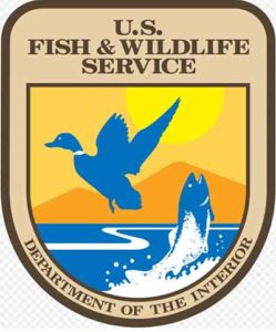 Служба рыболовства и дикой природы США