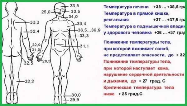 Температура тела человека: кожи и внутренних органов
