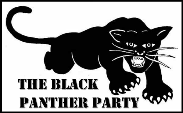 Черные пантеры