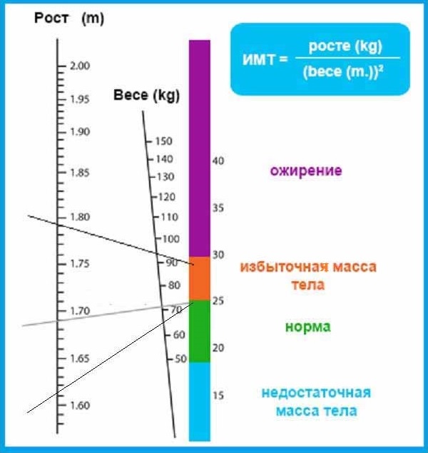Палетка для оценки Индекса массы тела