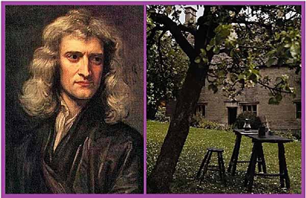 Исаак Ньютон и его рабочий стол под яблоней в родовой усадьбе