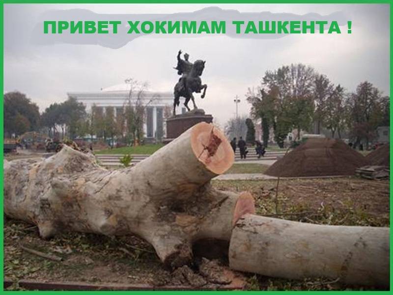 Шавкат Умурзаков – хоким Ташкента, столицы Узбекистана. Седьмой по счету.